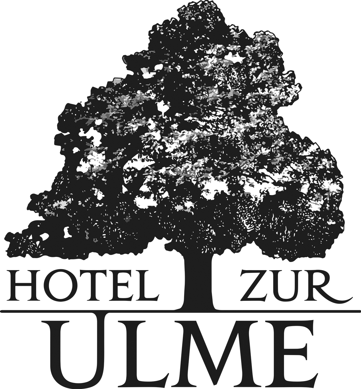 Hotel zur Ulme